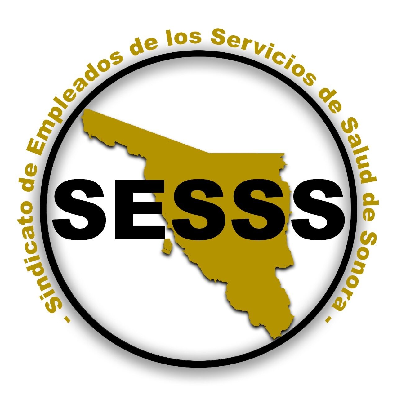 sesss.com.mx